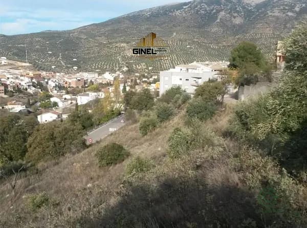 Spot image