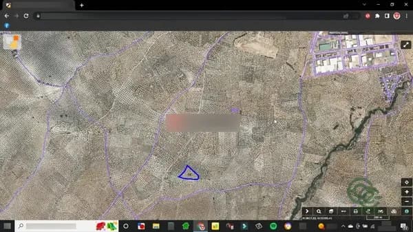 Spot image