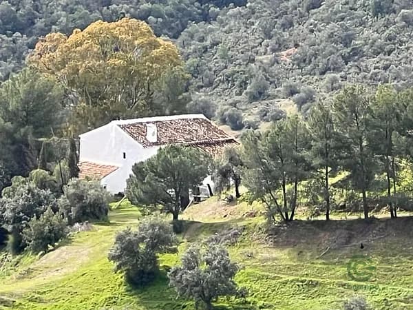 Spot image