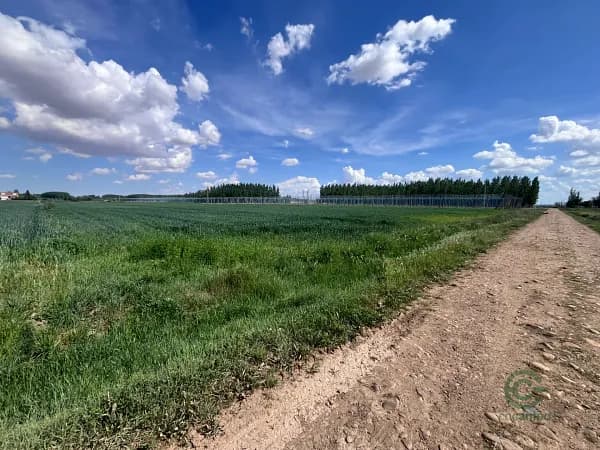Finca agrícola de 1,637 ha en venta en León