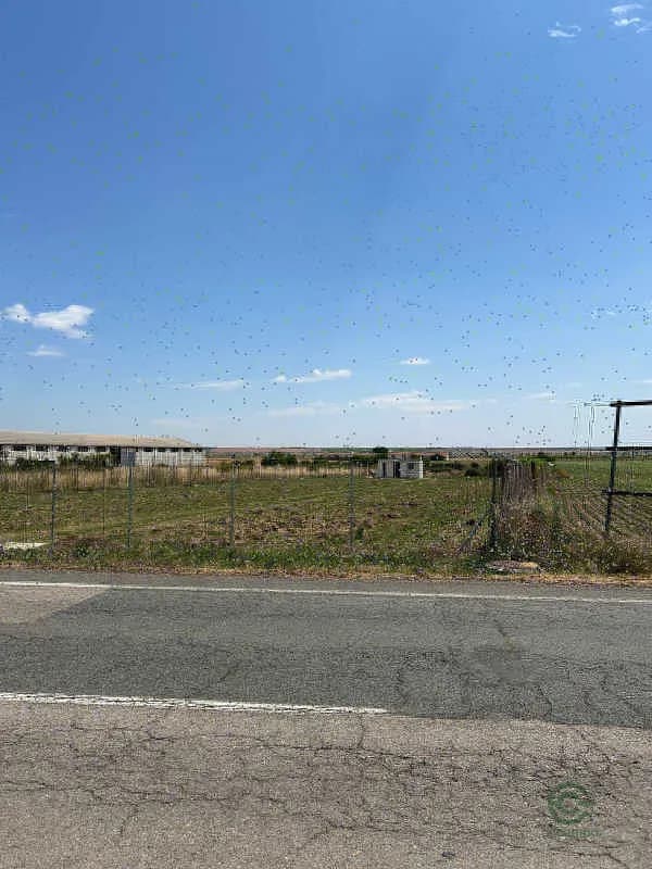 Spot image