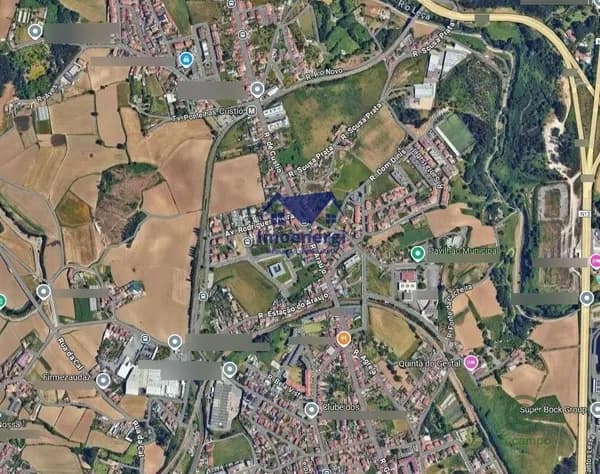 Spot image