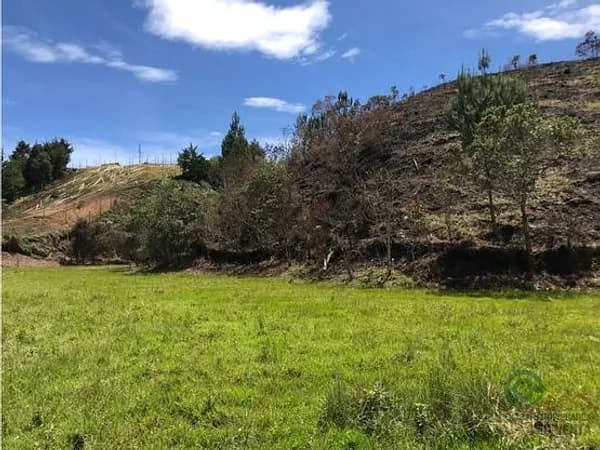 Finca agrícola de 1,64 ha en venta en Antioquia