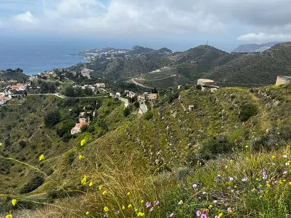 Rustic property of 1,37 ha for sale in Granada