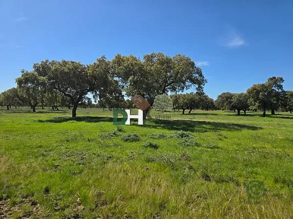 Finca ganadera de 265 ha en venta en Badajoz