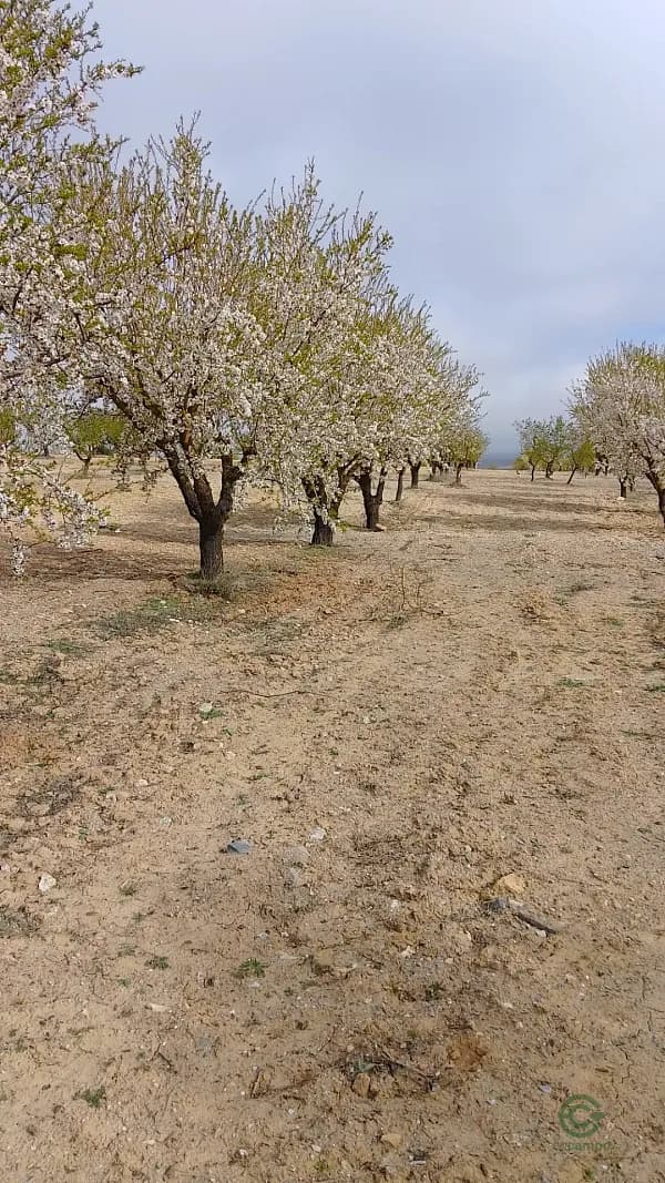 Finca agrícola de 9,4 ha en venta en Almería