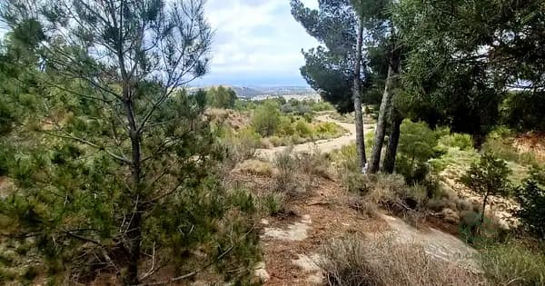 Finca rústica de 0,12 ha en venta en Polop, Alicante