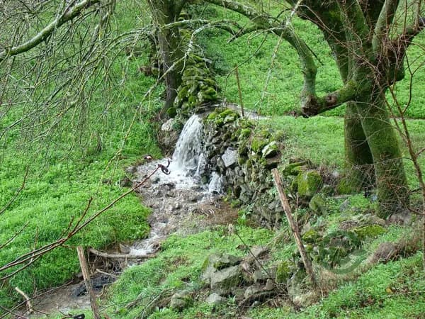 Finca rústica de 0,25 ha en venta en Ávila