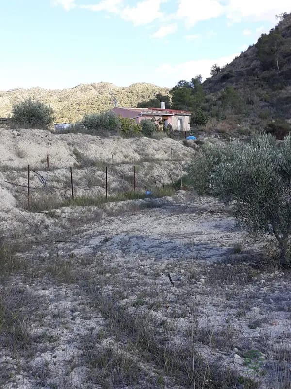 Spot image