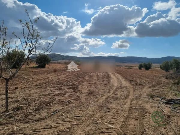 Finca rústica de 5,5 ha en venta en Abanilla, Murcia