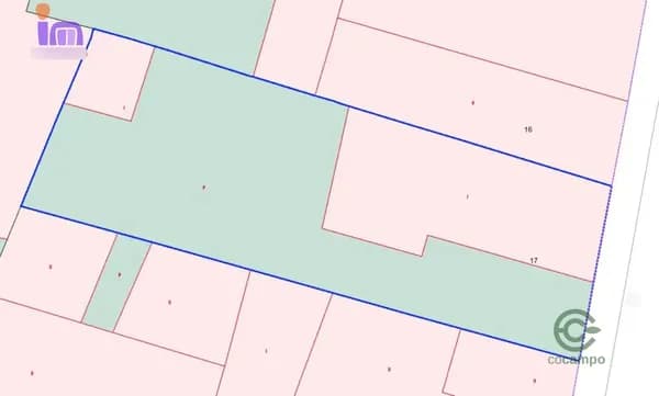 Spot image