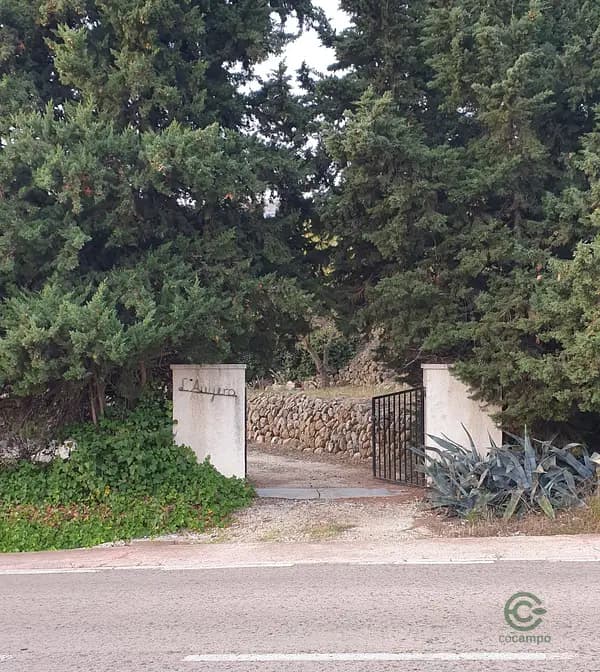 Rustic property of 1,86 ha for sale in Alicante