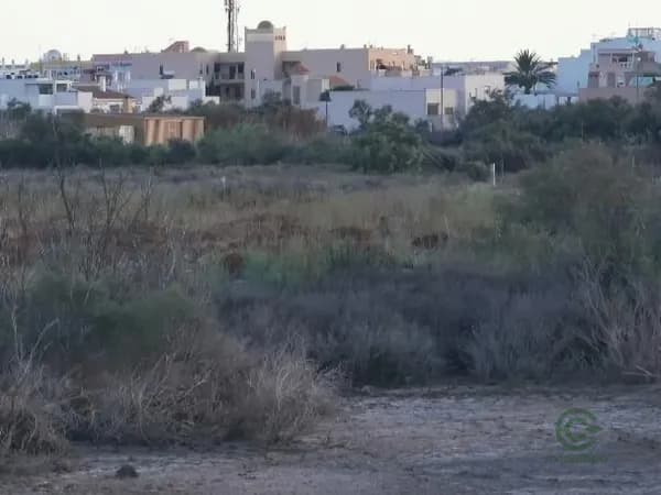 Spot image