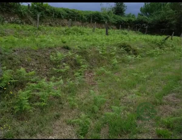 Finca rústica de 1 ha en venta en Pontevedra