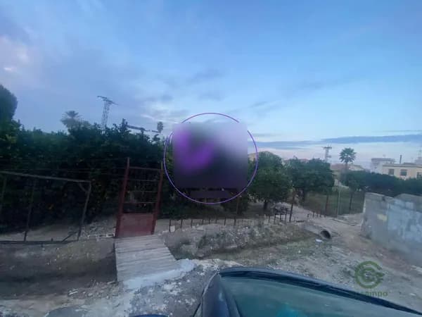 Spot image