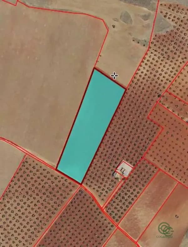 Finca agrícola de 1,88 ha en venta en Torrenueva, Ciudad real
