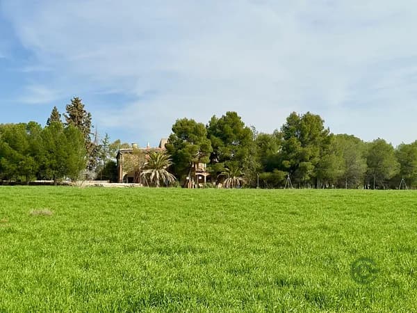 Finca rústica de 47,1319 ha en venta en Torrenueva, Ciudad real