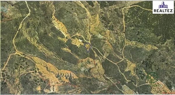 Spot image