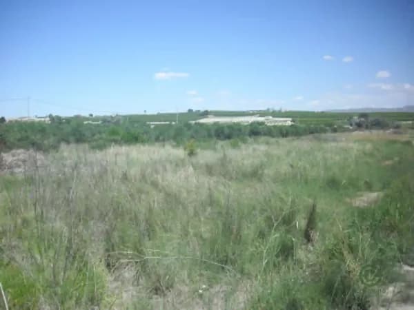 Finca agrícola de 1,0328 ha en venta en Cieza, Murcia