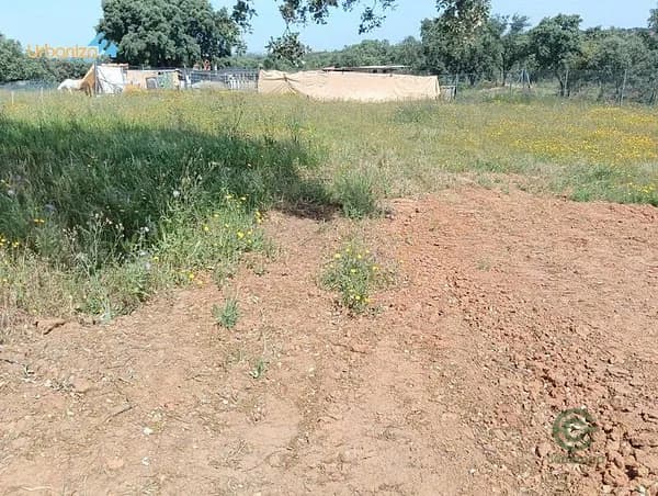 Terreno urbano de 0,06 ha en venta en Badajoz, Badajoz