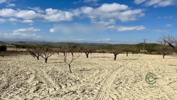 Agricultural property of 7,1641 ha for sale in Murcia