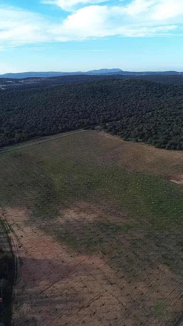 Finca rústica de 30 ha en venta en Ronda, Malaga