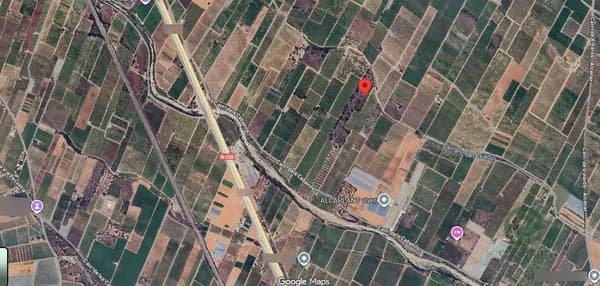 Spot image