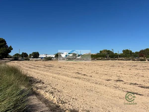 Terreno urbano de 1 ha en venta en Elche-elx, Alicante
