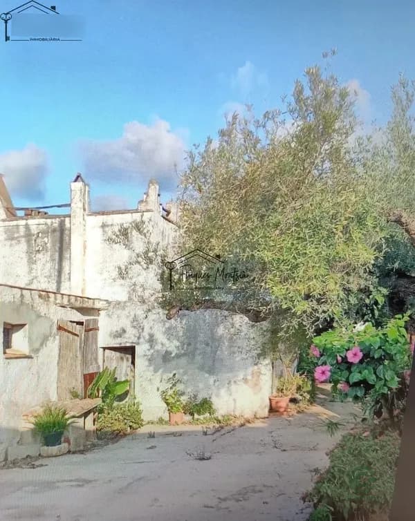 Finca rústica de 2,2208 ha en venta en Vinaros, Castellon