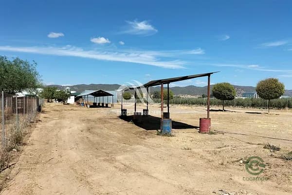Finca rústica de 0,3 ha en alquiler en Córdoba, Córdoba