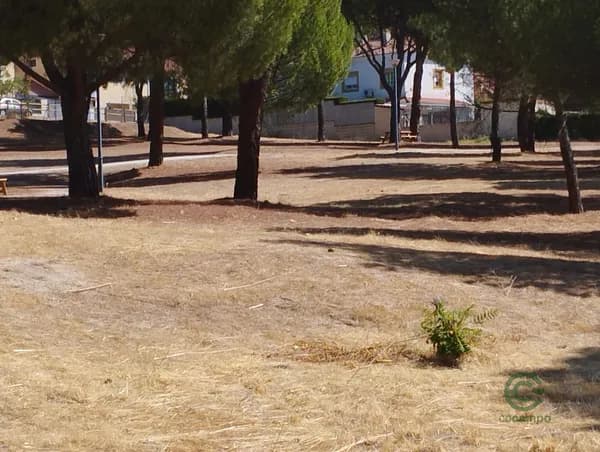 Finca rústica de 0,1891 ha en venta en Valdemaqueda, Madrid