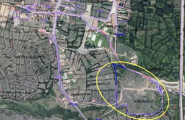 Spot image
