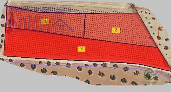 Finca agrícola de 1,26 ha en venta en Malagon, Ciudad real