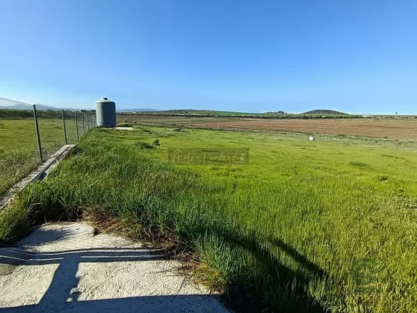 Finca rústica de 1,2311 ha en venta en Mérida, Badajoz