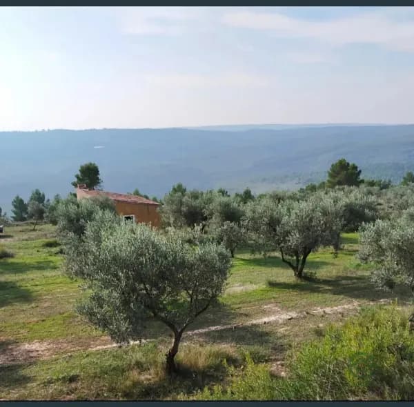 Finca rústica de 34 ha en venta en Valencia