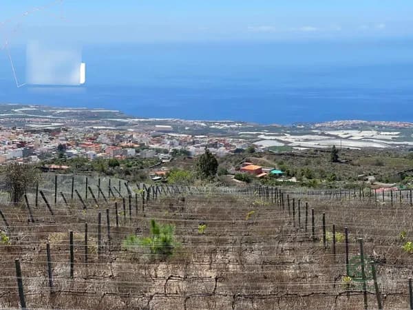 Finca rústica de 2,8 ha en venta en Guia de isora, Santa cruz de tenerife