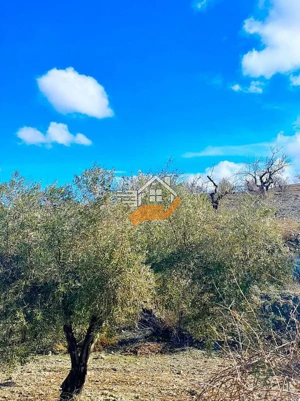 Finca rústica de 8,7 ha en venta en Velez-rubio, Almeria