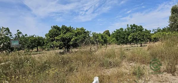 Finca agrícola de 0,19 ha en venta en Segorbe, Castellon