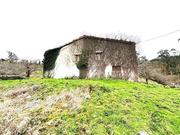 Finca rústica de 1,5 ha en venta en Solorzano, Cantabria
