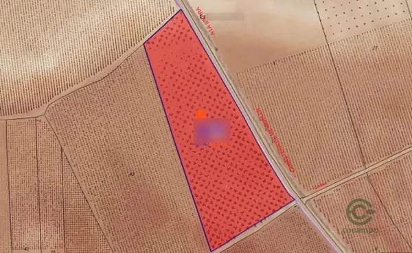 Spot image
