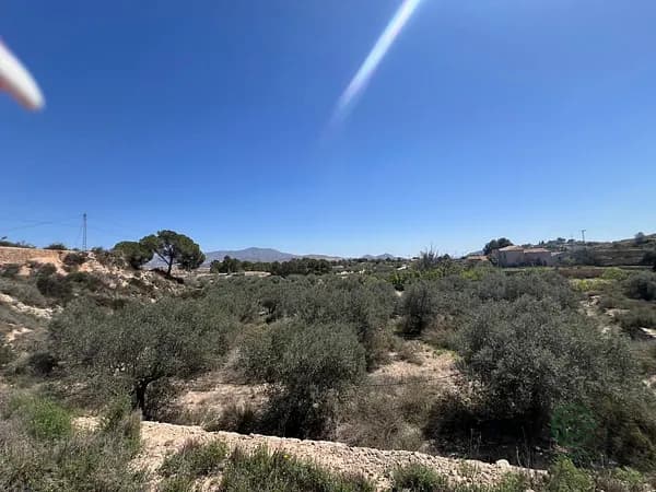 Spot image