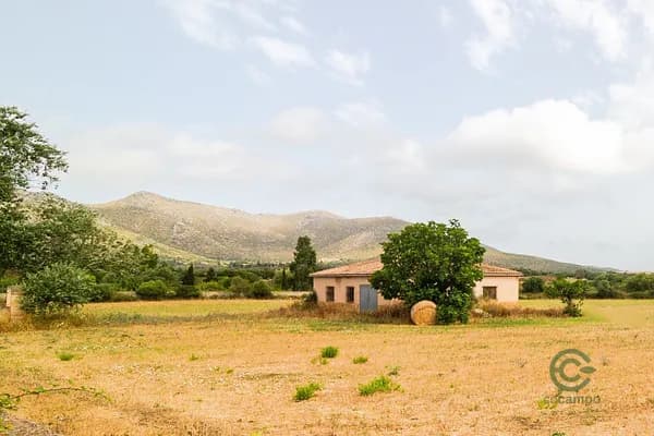 Spot image