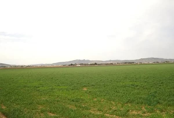 Finca agrícola de 34 ha en venta en Murcia