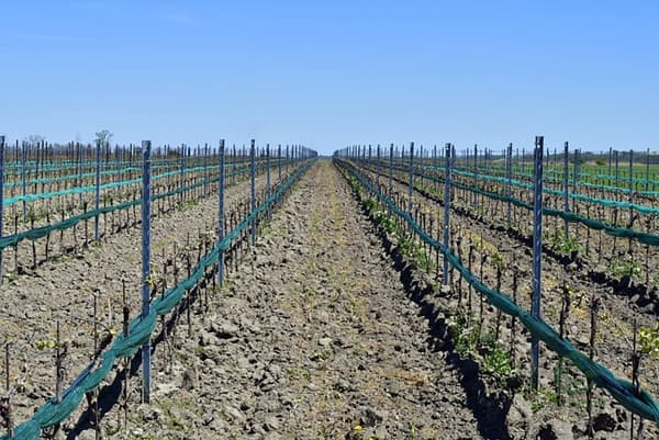 Finca agrícola de 100 ha en venta en Valladolid