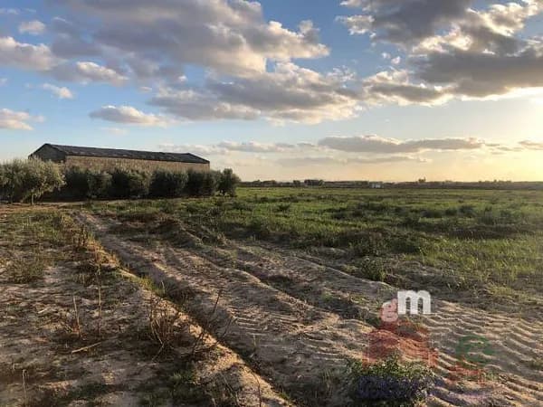 Finca agrícola de 5,3 ha en venta en Medellín, Badajoz