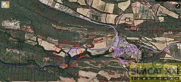 Spot image