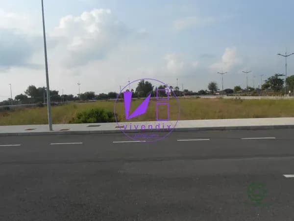 Spot image