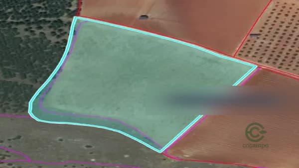 Finca agrícola de 4 ha en venta en Valdepenas, Ciudad real