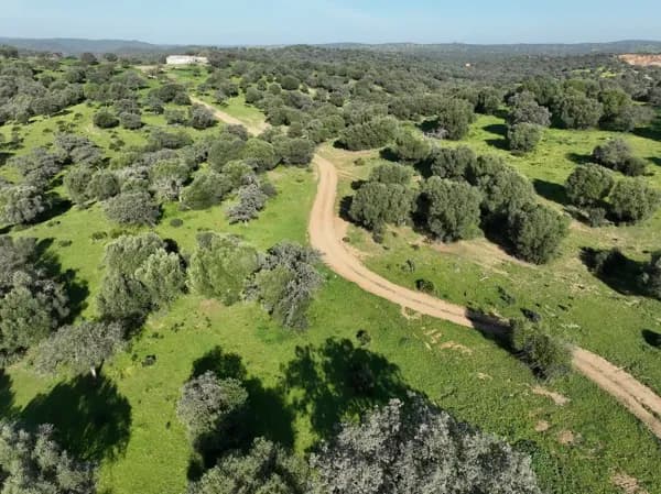 Finca rústica de 280 ha en venta en Sevilla