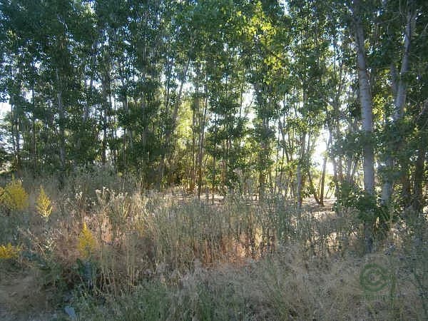 Casa de 0,9905 ha en venta en Palencia, Palencia